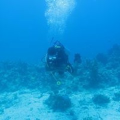 Raed Bin Lafi Al-hrbi