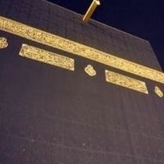 Mohamed Mohamed
