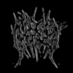 cat kitty cat cat kitty cat cat