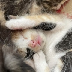 오늘의날씨맑음