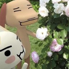 βπππππͺπ€β