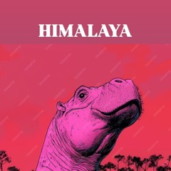 YZK paraiso dub bass