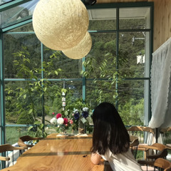 주혜선