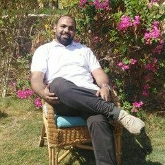 Alaa El Demerdash