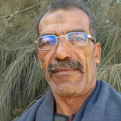 مسعود محمود الجالي الجالي