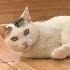 Kẹo
