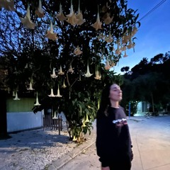 Cristina Gómez Muñoz