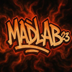 Madlab²³