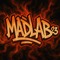 Madlab²³
