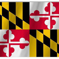 Dmv’s Best Upcoming