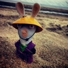 Soggy waffle extreme