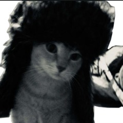 Miayze