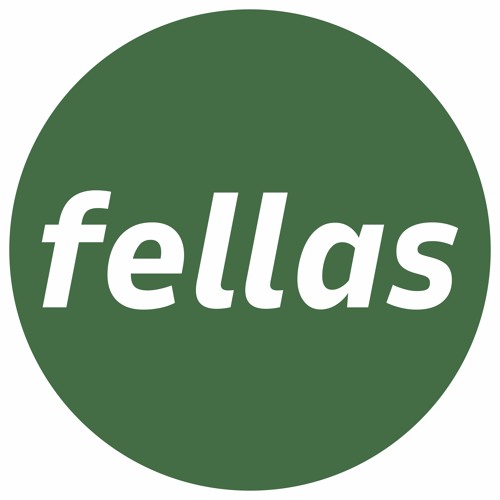 Fellas Coin’s avatar