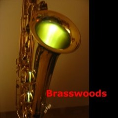 The Shortest Path / Nejkratší cesta