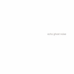 echo ghost noise