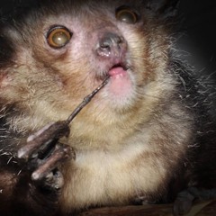 just a little singalong