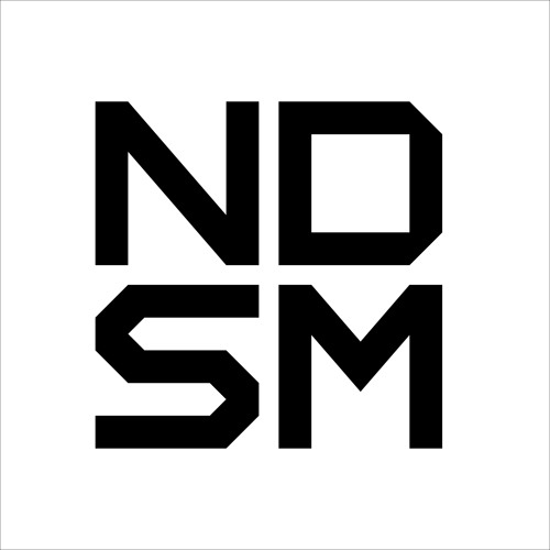 NDSM X’s avatar
