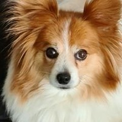 Timmy Ninthe Kelly Slootmaekers