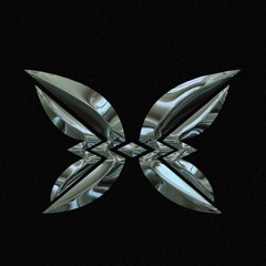 Metamorph Collective