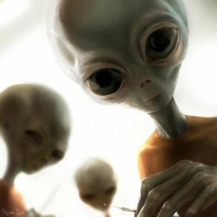 LifeForm 👽