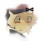 elliot