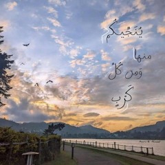 ندا أيمن