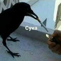 ⚫nezok⚫
