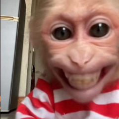 uglyblondie