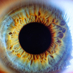 𝕧𝕚𝕤𝕚𝕠𝕟𝕤𝕓𝕪𝕨𝕚𝕝𝕝