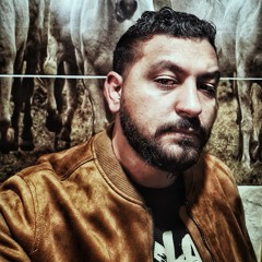 Amr Araby