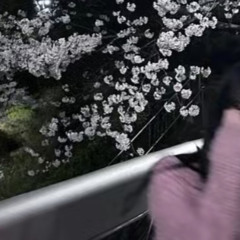 愛