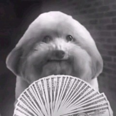 SillyIce