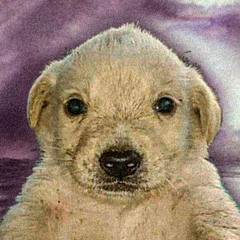 FatGekk! (@fatgekk1)