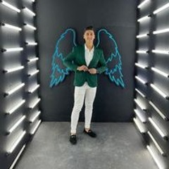 Ahmed Shoukry Gaafar