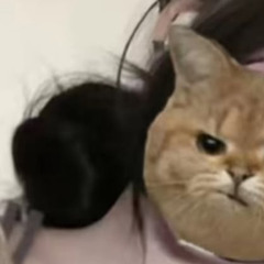 ⠀