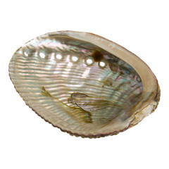 Viia Umo
