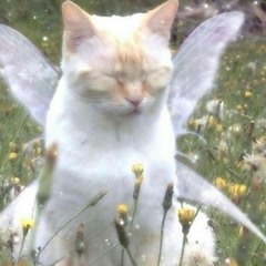 5 layer bean burrito