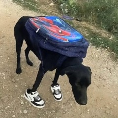 Sammy $osa