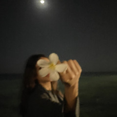 ✨
