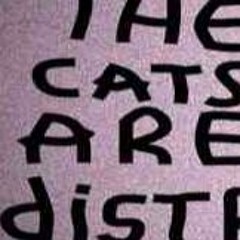 The Cats Are Distressed
