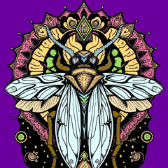 Azrael Moth