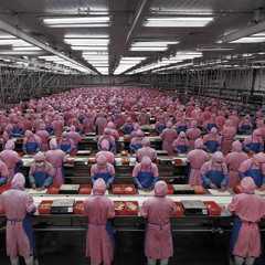 plastikfactory