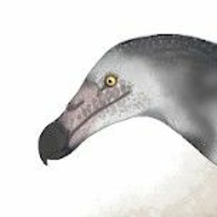 xXx_420BirdMaster420_xXx
