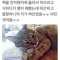 맹구