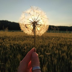[Me●w]