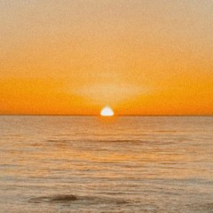 The Great Cauliflower Harvest