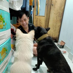 Mr Le