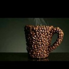 موسم الكرز