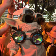 Snob in Wook’s Clothing