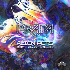 AliEn resource